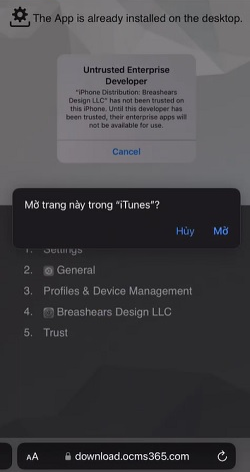 Xác nhận tải xuống BETVISA trên IOS của bạn